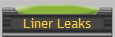 Liner Leaks