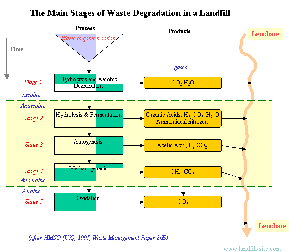 Waste Degradation Flowchart