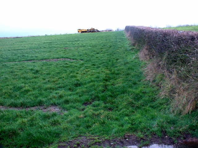 Pasture or a restored landfill?