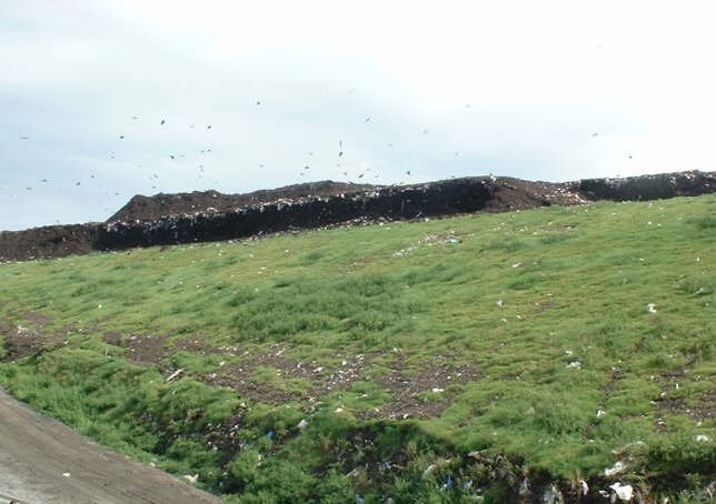 A landfill where compost is used as temporary cover