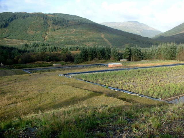 A landfill reed bed in Scotland