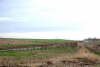 A restored landfill with new planting