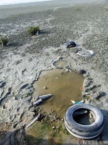 land-pollution-1 land-pollution-1
